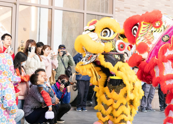 2025 Lunar New Year Activities