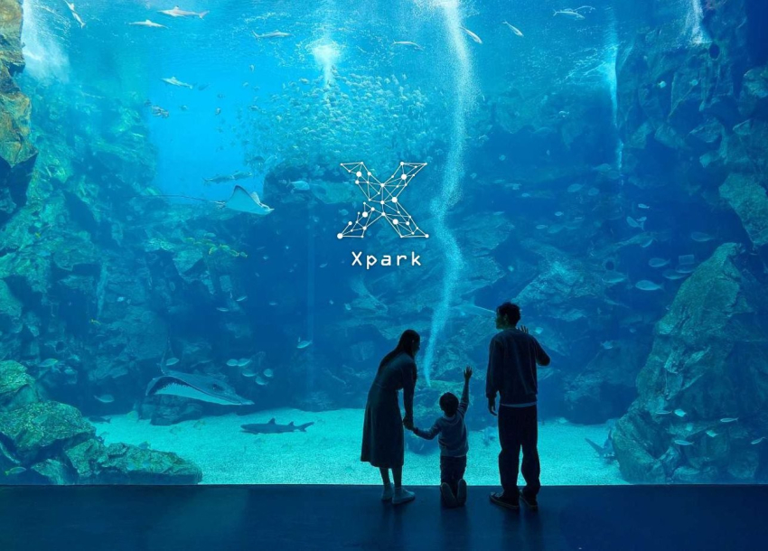 2024 Xpark Aquarium Package